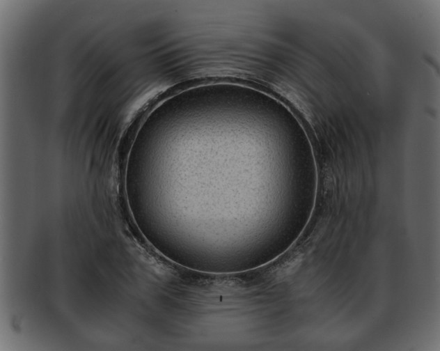 X0000092270979200710041349