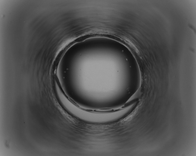X0000092270981200710041349