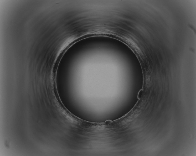 X0000092270990200710041349