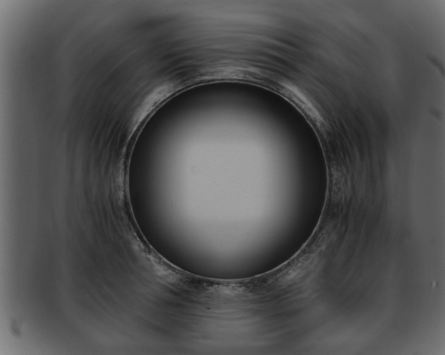 X0000092270994200710041349