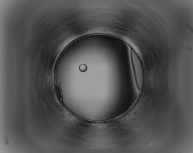 X0000092270996200710041349