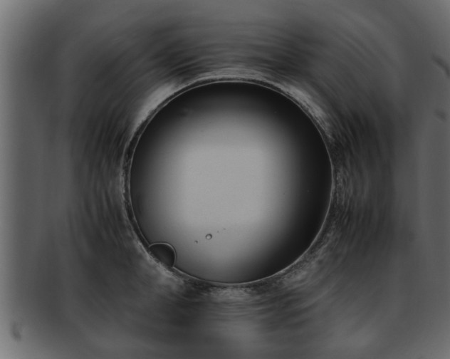 X0000092270998200710041349