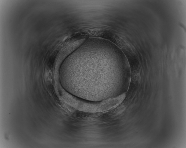 X0000092271010200710041348