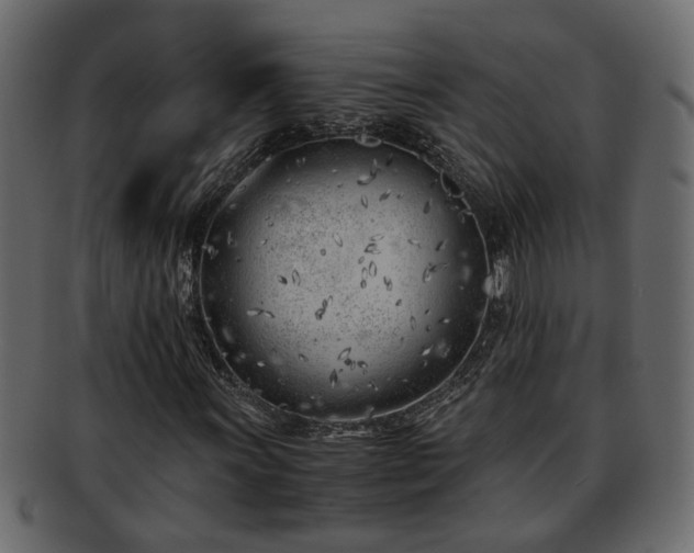 X0000092271011200710041348