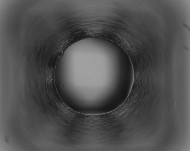 X0000092271012200710041348