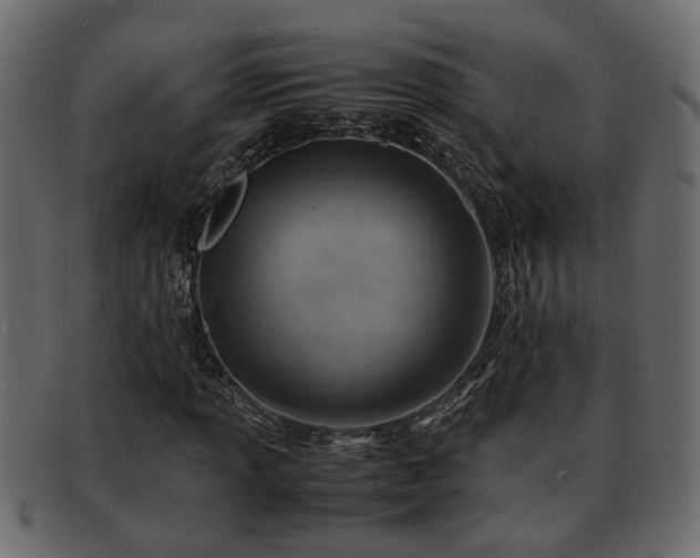 X0000092271013200710041348