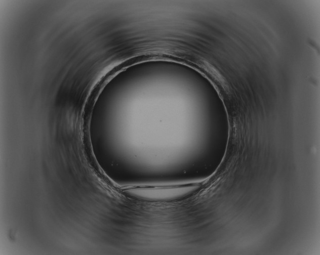 X0000092271020200710041349