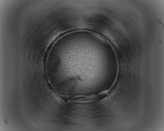 X0000092271023200710041349