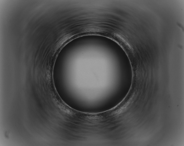 X0000092271025200710041349
