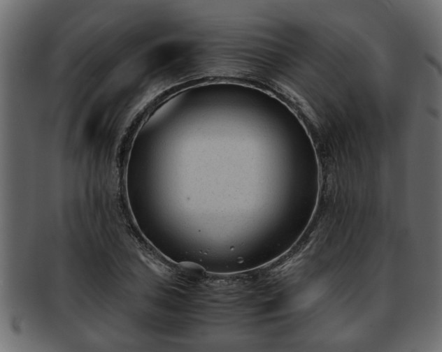 X0000092271027200710041349