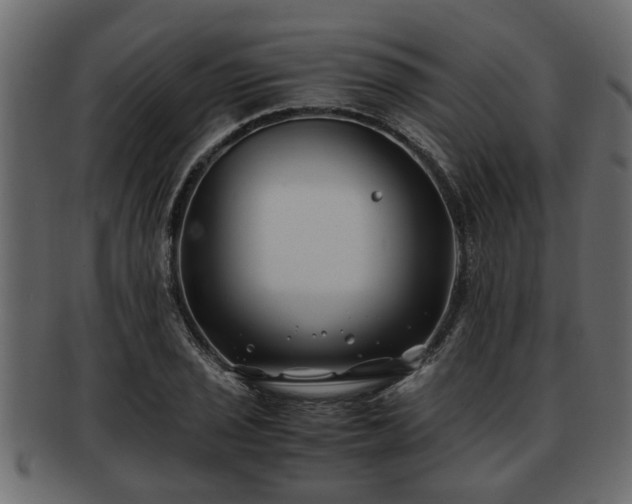 X0000092271029200710041349