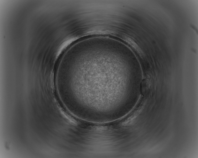 X0000092271030200710041349