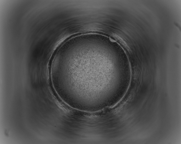 X0000092271031200710041349