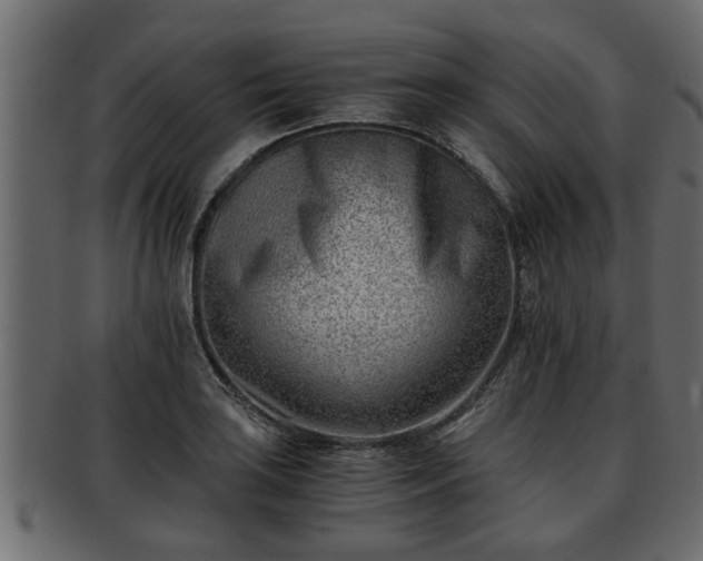 X0000092271035200710041349