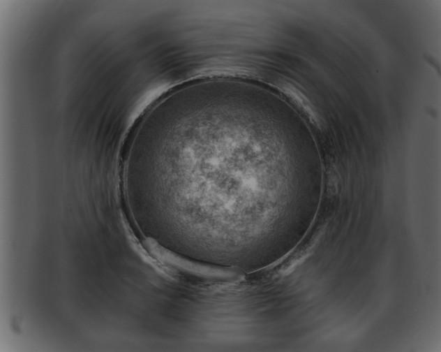 X0000092271038200710041349
