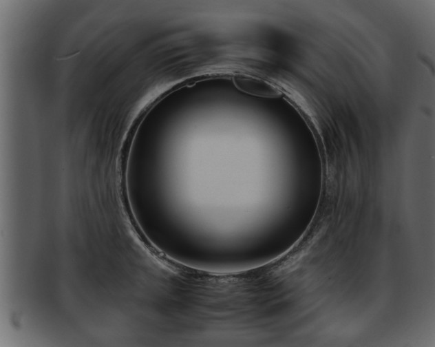 X0000092271045200710041349
