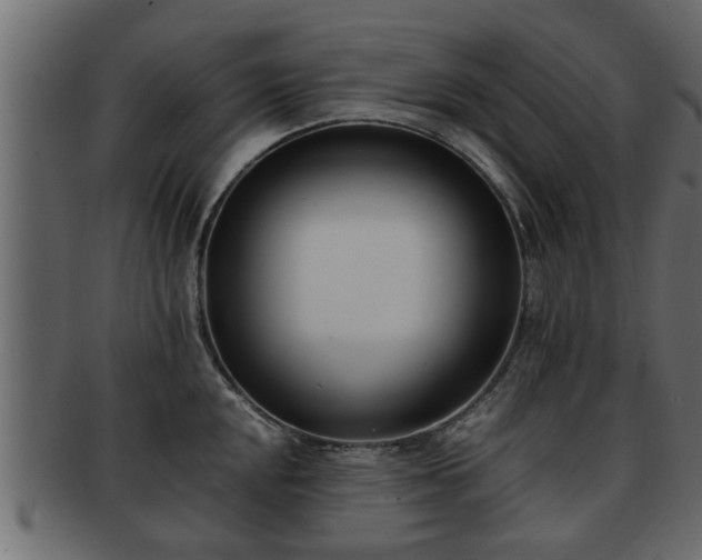 X0000092271048200710041349