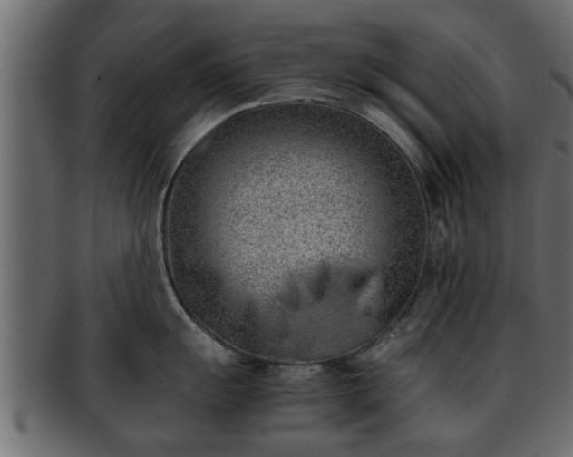 X0000092271055200710041349