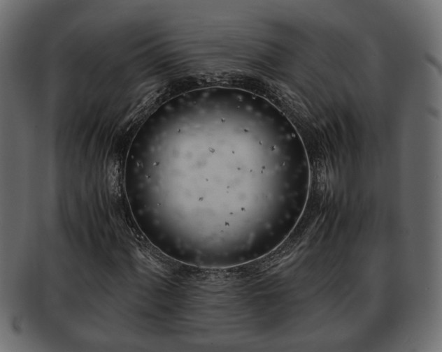 X0000092271060200710041348