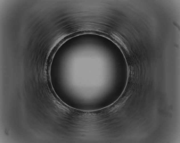 X0000092271068200710041348