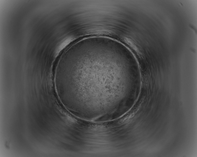 X0000092271071200710041348