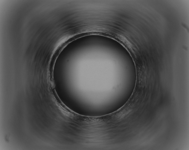 X0000092271072200710041348