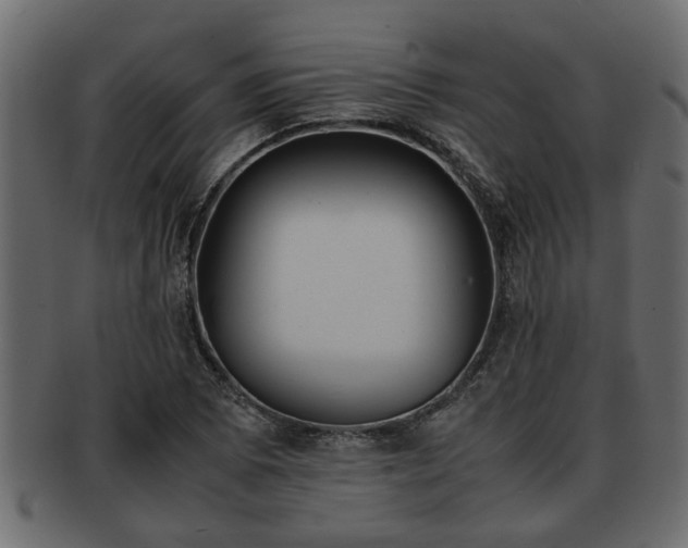 X0000092271073200710041348