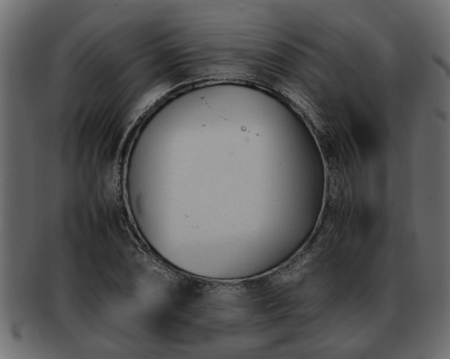 X0000092271074200710041348