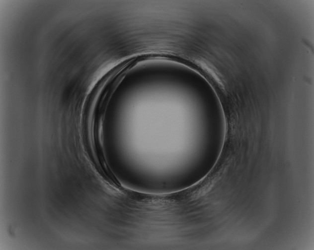 X0000092271077200710041348