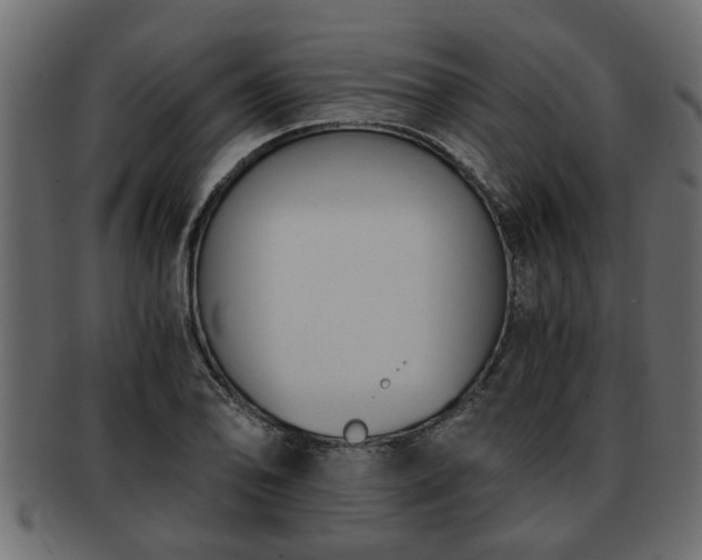 X0000092271078200710041348