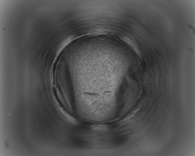 X0000092271083200710041348