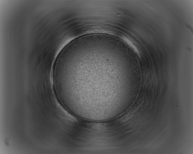 X0000092271084200710041348