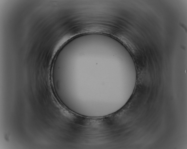 X0000092271086200710041348