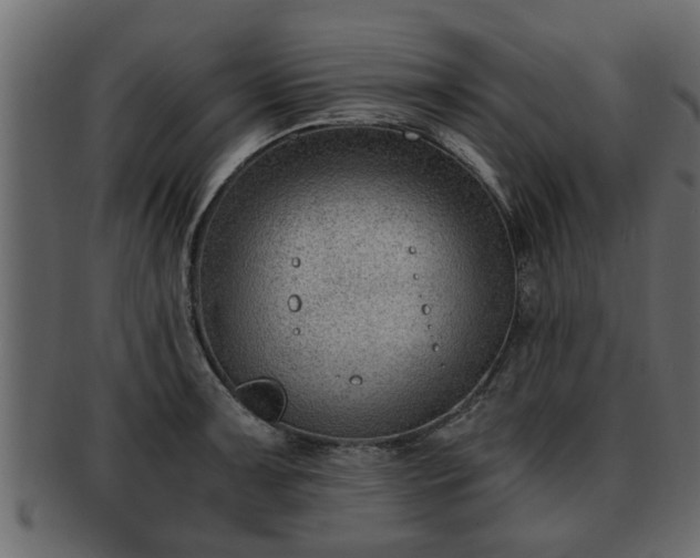 X0000092271091200710041348