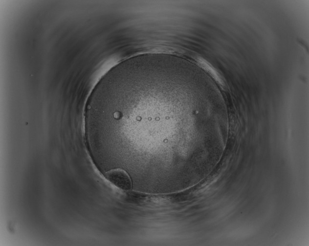 X0000092271095200710041348