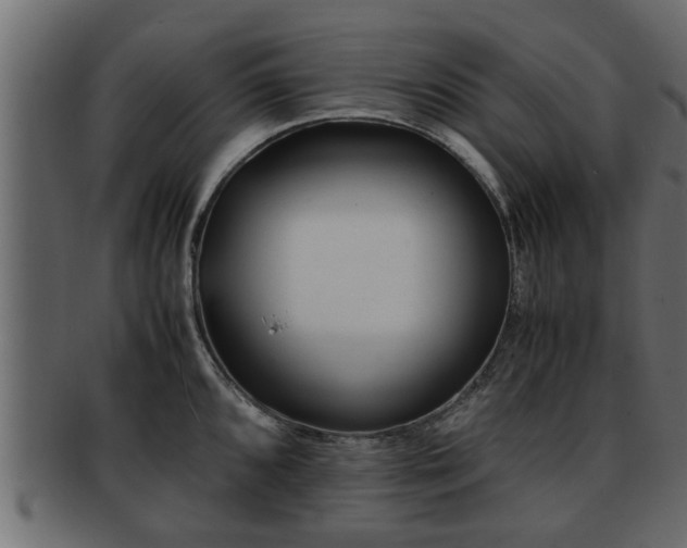 X0000092271096200710041348
