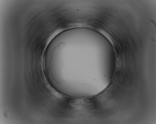 X0000092271098200710041348