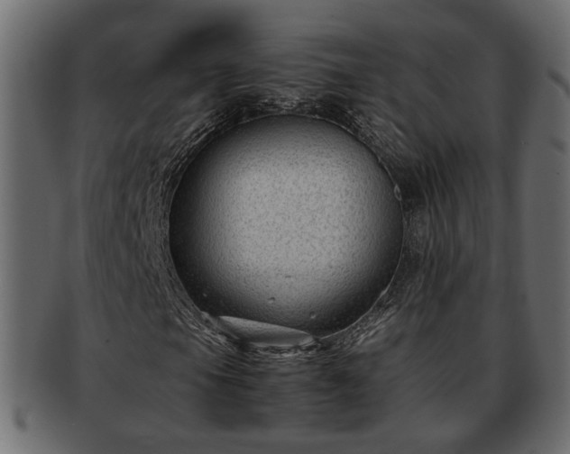 X0000092271105200710041347