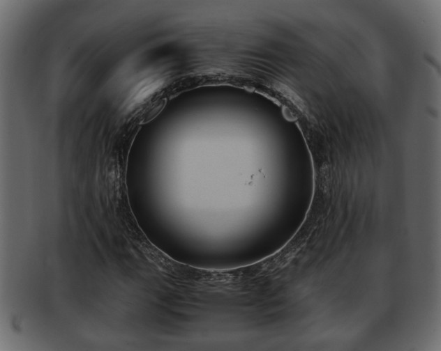 X0000092271111200710041347