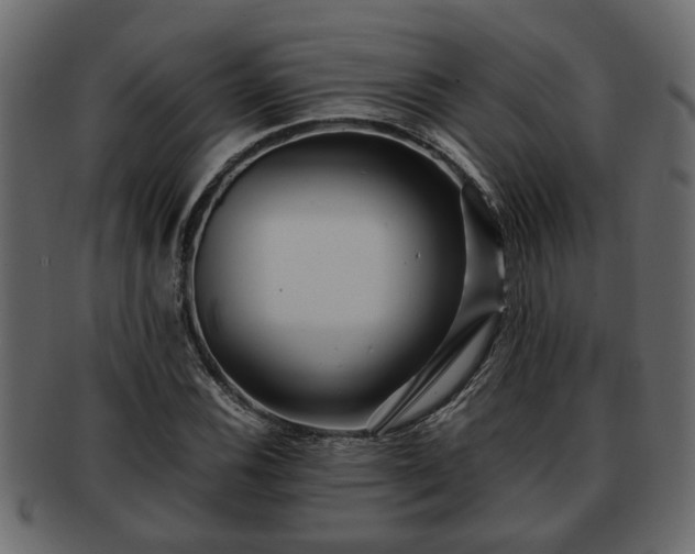 X0000092271116200710041347