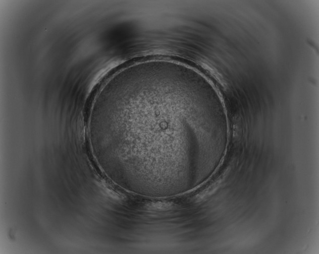 X0000092271117200710041347