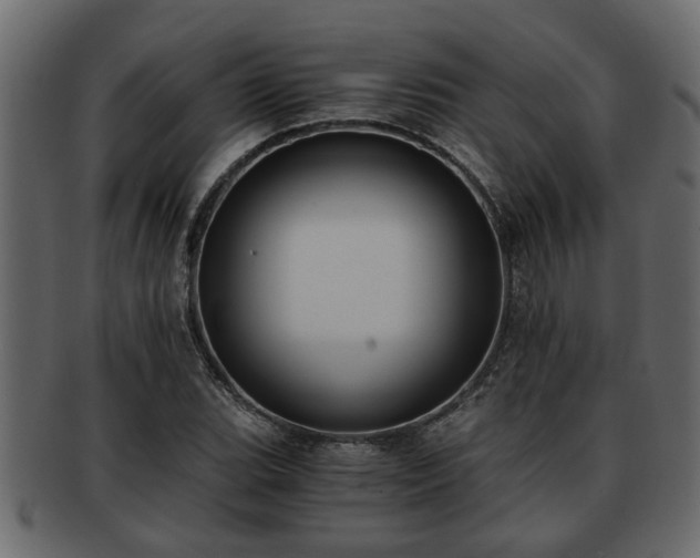 X0000092271119200710041347