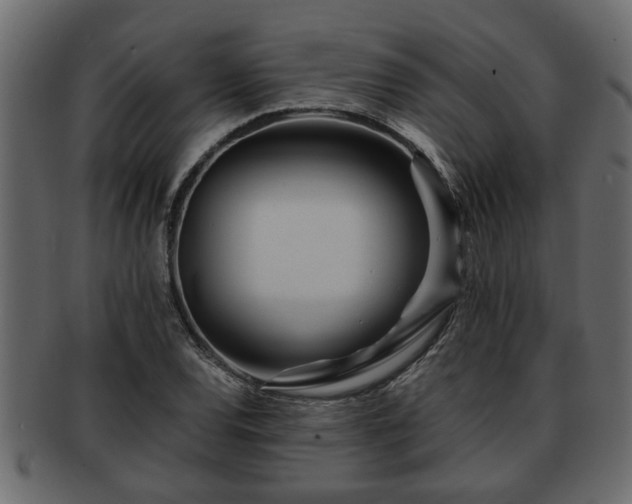 X0000092271120200710041347