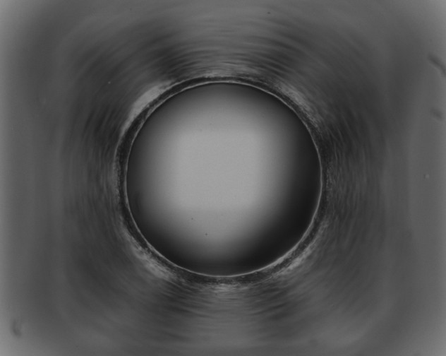 X0000092271122200710041348