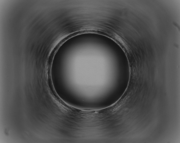 X0000092271124200710041348