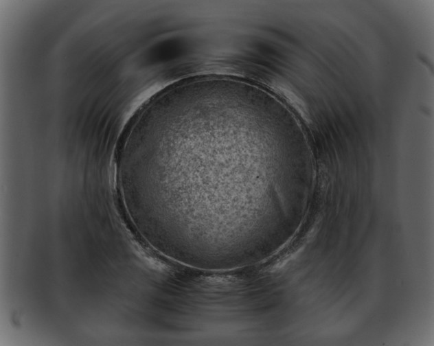 X0000092271125200710041348