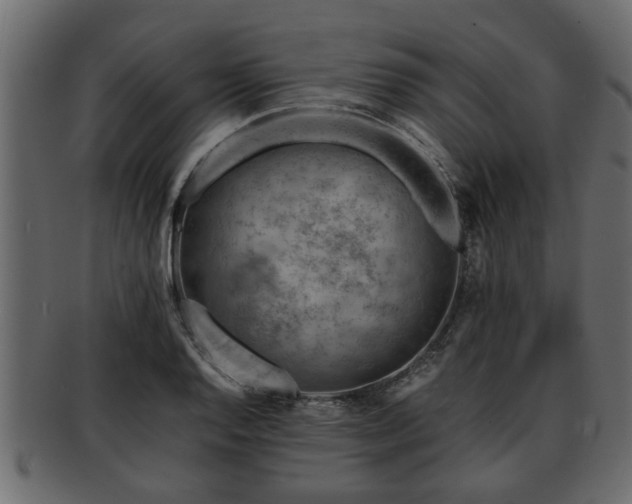 X0000092271128200710041348