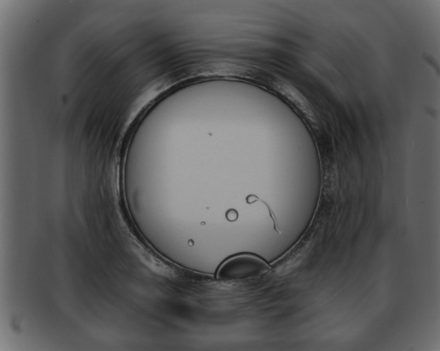 X0000092271130200710041348