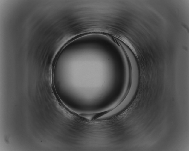 X0000092271132200710041348