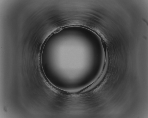 X0000092271134200710041348